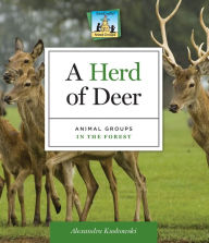 Title: Herd of Deer: Animal Groups in the Forest eBook, Author: Alex Kuskowski