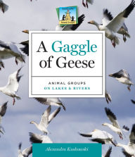 Title: Gaggle of Geese: Animal Groups on Lakes & Rivers eBook, Author: Alex Kuskowski