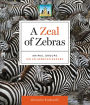 Zeal of Zebras: Animal Groups on an African Safari eBook