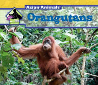 Title: Orangutans eBook, Author: Julie Murray