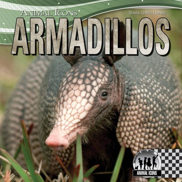 Armadillos eBook