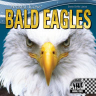 Title: Bald Eagles eBook, Author: Sheila Griffin Llanas