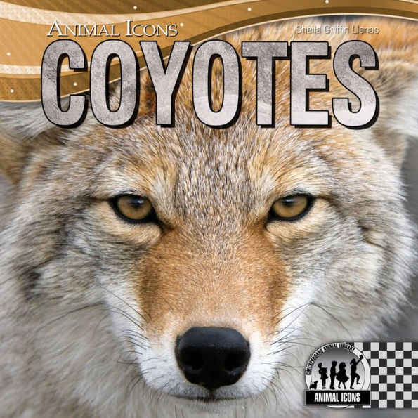 Coyotes eBook