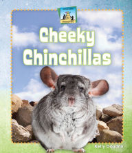 Title: Cheeky Chinchillas eBook, Author: Kelly Doudna