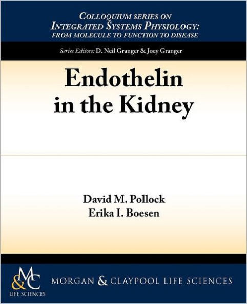 Endothelin In The Kidney