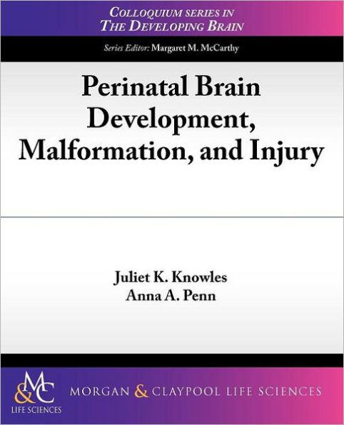 Perinatal Brain Development, Malformation, and Injury