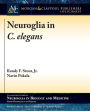 Neuroglia in C. elegans