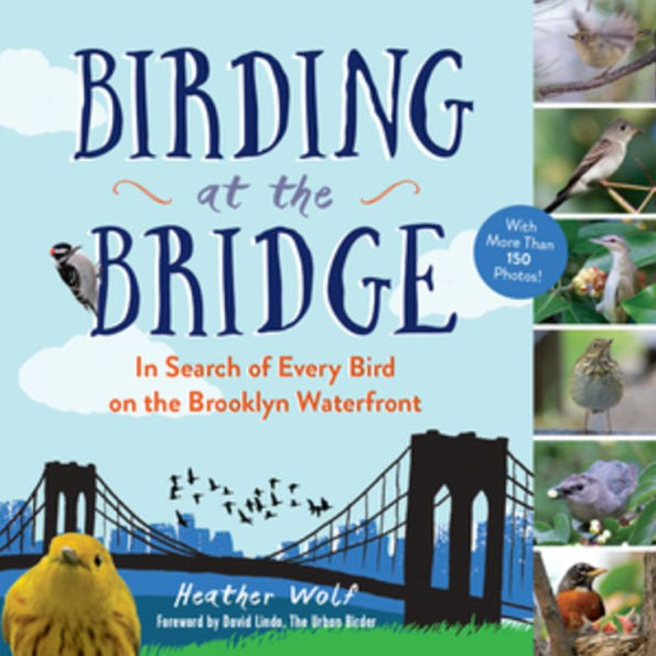 Birding at the Bridge: Search of Every Bird on Brooklyn Waterfront