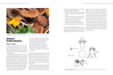 Alternative view 2 of How to Grow Mushrooms from Scratch: A Practical Guide to Cultivating Portobellos, Shiitakes, Truffles, and Other Edible Mushrooms