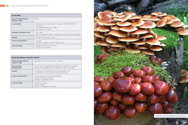 How to Grow Mushrooms from Scratch: A Practical Guide to Cultivating Portobellos, Shiitakes, Truffles, and Other Edible Mushrooms