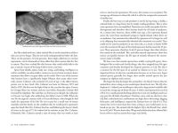 Alternative view 2 of The Longevity Code: Slow Down the Aging Process and Live Well for Longer - Secrets from the Leading Edge of Science