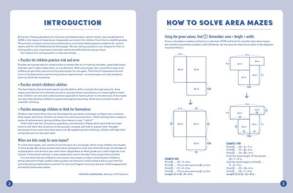 Amazing Area Mazes: 70 Race-the-Clock Puzzles for Budding Math Wizards