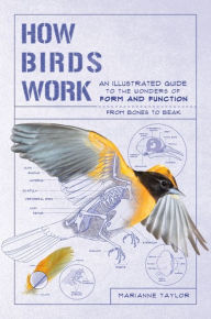 Download spanish books for free How Birds Work: An Illustrated Guide to the Wonders of Form and Function-from Bones to Beak  by Marianne Taylor (English literature) 9781615196470