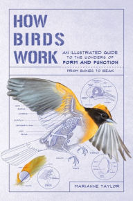 Free google download books How Birds Work: An Illustrated Guide to the Wonders of Form and Function-from Bones to Beak 9781615196487 DJVU FB2 PDB by Marianne Taylor