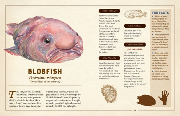 blobfish in natural habitat｜TikTok Search