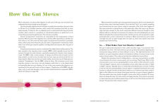 Alternative view 5 of Love Your Gut: Supercharge Your Digestive Health and Transform Your Well-Being from the Inside Out