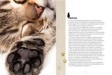 Alternative view 3 of The Handbook for a Happy Cat: Speak Their Language, Decode Their Quirks, and Meet Their Needs - So They'll Love You Back!