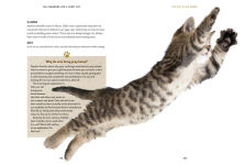 Alternative view 5 of The Handbook for a Happy Cat: Speak Their Language, Decode Their Quirks, and Meet Their Needs - So They'll Love You Back!