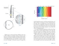 Alternative view 5 of Blue: In Search of Nature's Rarest Color