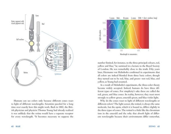 Blue: The Science and Secrets of Nature's Rarest Color