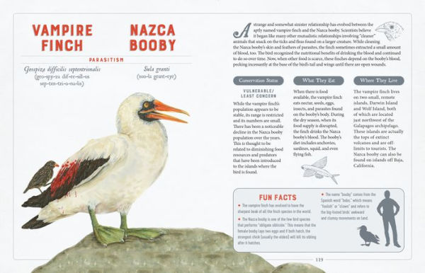 A Curious Collection of Wild Companions: An Illustrated Encyclopedia of Inseparable Species