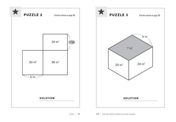 The Big Puzzle Book of Area Mazes: 300 Mind-Bending Math Puzzles in Five Challenge Levels