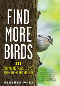 Free download e books Find More Birds: 111 Surprising Ways to Spot Birds Wherever You Are by Heather Wolf