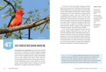 Alternative view 11 of Find More Birds: 111 Surprising Ways to Spot Birds Wherever You Are