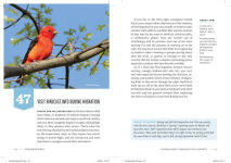 Alternative view 6 of Find More Birds: 111 Surprising Ways to Spot Birds Wherever You Are