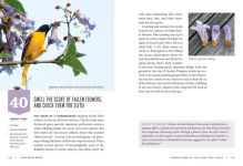 Alternative view 10 of Find More Birds: 111 Surprising Ways to Spot Birds Wherever You Are