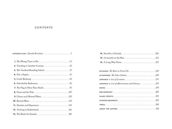 The Feldafing Boys: Uncovering My Father's Stolen Childhood at an Elite Nazi School