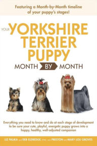 Your Yorkshire Terrier Puppy Month By Month