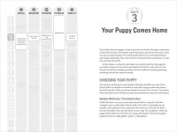 Alternative view 2 of Your Golden Retriever Puppy Month by Month: Everything You Need to Know at Each Stage to Ensure Your Cute and Playful Puppy