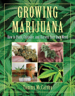 Growing Marijuana How To Plant Cultivate And Harvest Your Own Weedpaperback - 