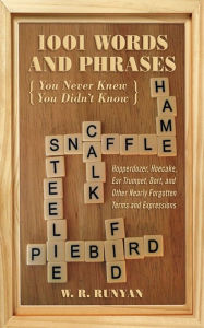 Title: 1,001 Words and Phrases You Never Knew You Didn't Know: Hopperdozer, Hoecake, Ear Trumpet, Dort, and Other Nearly Forgotten Terms and Expressions, Author: W. R. Runyan