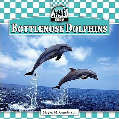 Bottlenose Dolphins