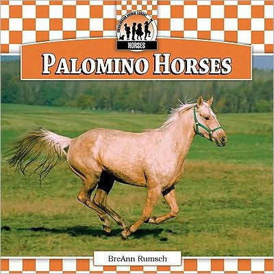 Palomino Horses