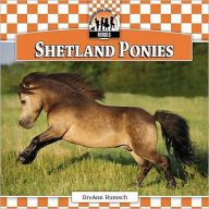 Title: Shetland Ponies, Author: BreAnn Rumsch