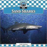 Title: Sand Sharks, Author: Heidi Mathea