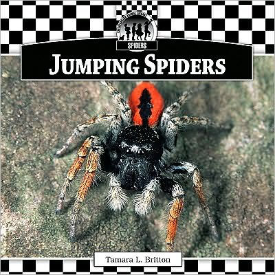 Jumping Spiders