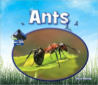 Title: Ants, Author: Julie Murray