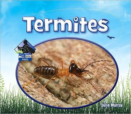 Termites