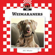 Title: Weimaraners eBook, Author: Jill C. Wheeler