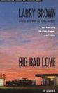 Alternative view 2 of Big Bad Love: Stories