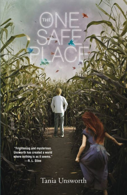 Safe Haven Book