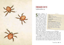 Alternative view 7 of Wicked Bugs (Young Readers Edition): The Meanest, Deadliest, Grossest Bugs on Earth