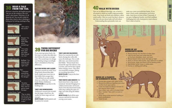 Field & Stream Skills Guide: Hunting, Book by T. Edward Nickens, Official  Publisher Page