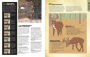 Alternative view 8 of The Total Deer Hunter Manual (Field & Stream): 301 Hunting Skills You Need