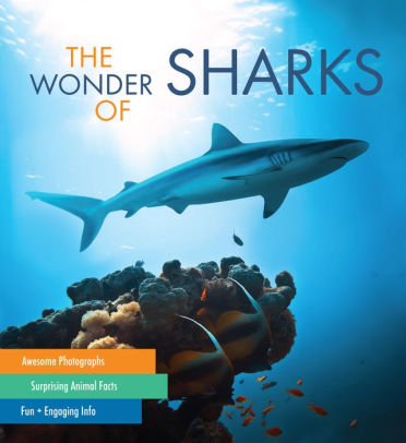 The Essential Interactive Guide To Sharks & Horses For Kids Bundle: Sharks & Horses For Kids