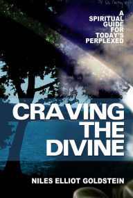 Title: Craving the Divine: A Spiritual Guide for Today's Perplexed, Author: Niles Elliot Goldstein